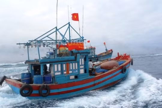 Khẩn trương tìm kiếm ngư dân rơi xuống biển mất tích khi đang đánh bắt cá ở Quảng Bình