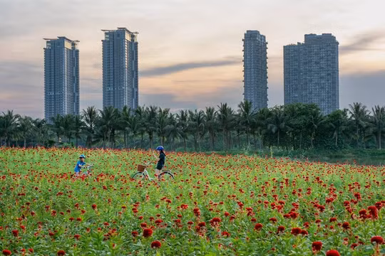 Ông bố kể chuyện tìm thấy nơi ở “định mệnh” cho cả gia đình sau một lần đi lạc