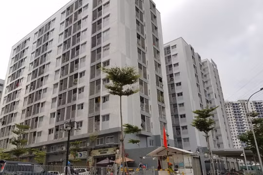 Chủ đầu tư đấu thầu nhà ở xã hội có quy định mới