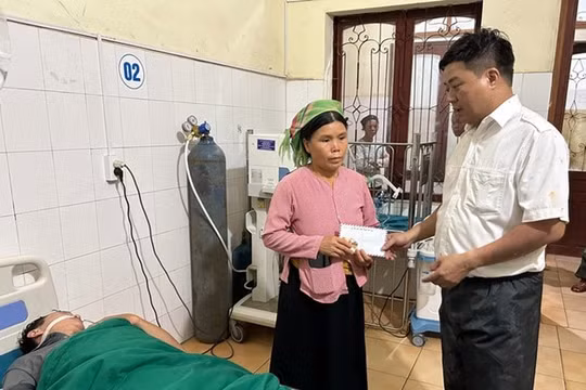 Hà Giang: Ăn nấm dại, 2 bố con nhập viện cấp cứu