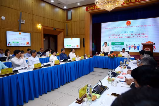 Nếu nhận thức không đầy đủ, chỉ chê kém hiệu quả mà không tạo điều kiện thì HTX sẽ luôn kém hiệu quả