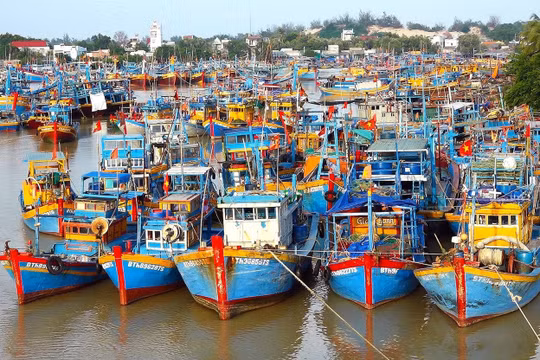 Chuyển đổi xanh và phát triển thủy sản xanh để phát triển bền vững