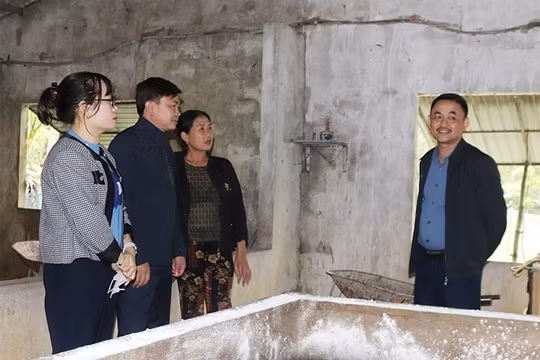 Hà Tĩnh chủ động phòng, chống dịch tả lợn châu Phi diễn biến phức tạp