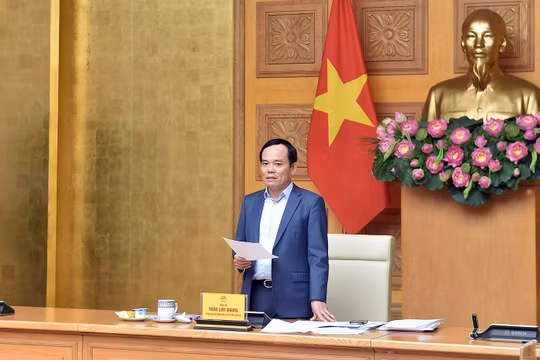 Quy hoạch hệ thống cảng cá, khu neo đậu tránh trú bão cho tàu cá phải góp phần tháo gỡ "thẻ vàng"