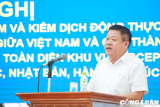 Phó Giám đốc sở Nông Nghiệp Hà Nội nói sản phẩm nông nghiệp ở Thủ đô cơ bản an toàn 100%