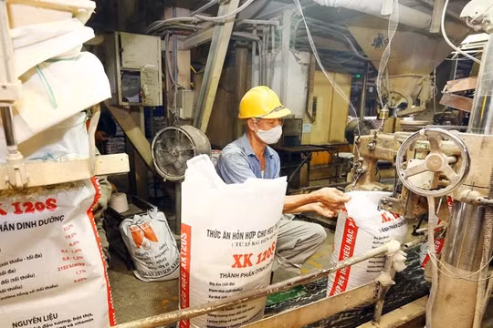 Việt Nam chi hơn 4,2 tỉ USD nhập khẩu thức ăn gia súc và nguyên liệu
