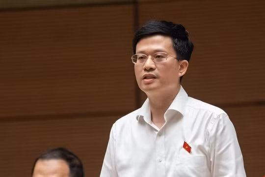 "Một làn sóng các trường đua nhau thực hiện kiểm định để tăng học phí"