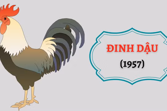 Tử vi 2023 tuổi Dậu theo từng năm sinh