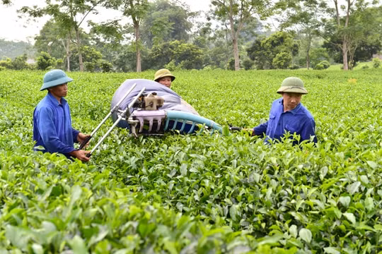 Ngành nông nghiệp “được mùa” nhưng đầu ra bị “tắc”