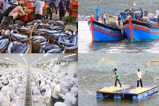Xuất khẩu thủy sản đối diện nhiều thách thức
