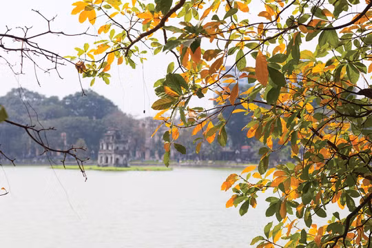 Mùa thu và tình yêu đôi lứa