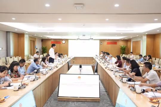 Bộ Thông tin và truyền thông tiếp tục nâng cao hiệu quả công tác phổ biến, giáo dục pháp luật