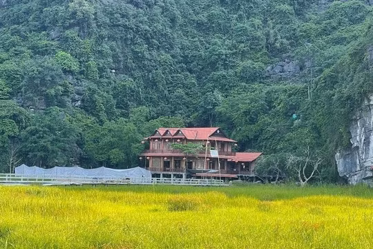 Ninh Bình: Có hơn 100 cơ sở kinh doanh dịch vụ lưu trú không phép tại vùng Di sản Tràng An
