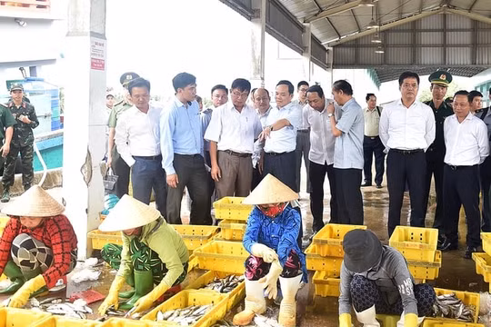 Chính phủ sẽ họp với các địa phương về chống khai thác hải sản bất hợp pháp