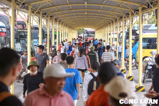 Hà Nội: Tăng cường kiểm tra, xử lý vi phạm về giá cước vận tải