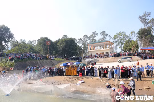 10 tấn cá được phóng sinh xuống sông Lam