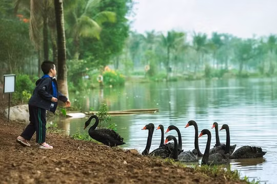 Vùng đất của những đứa trẻ hạnh phúc