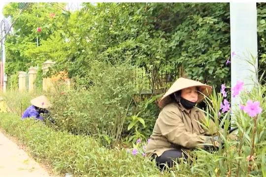 Nghĩa cử đẹp "xây" đường hoa làm đẹp xóm làng