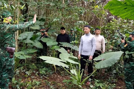 Phá đường dây đưa người nước ngoài vượt biên trái phép