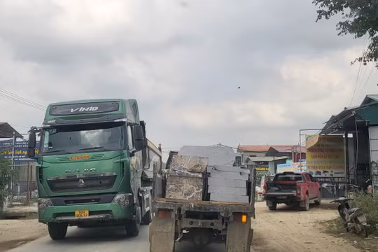 Không để tái lấn chiếm hành lang an toàn đường bộ trên Quốc lộ 217, địa phận Thanh Hoá