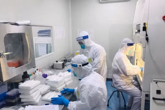 Giải trình gen người mắc COVID-19: Kết quả không bất ngờ