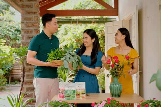 Giải pháp dinh dưỡng cho cây trồng tại gia đình