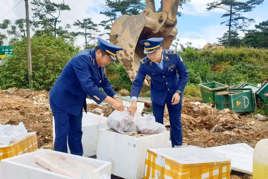 Lâm Đồng: Tiêu huỷ gần 200 kg thực phẩm đông lạnh không rõ nguồn gốc xuất xứ