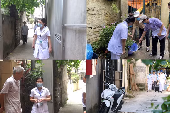 Hà Nội: Tăng cường giám sát, phát hiện, xử lý sớm các ca bệnh và ổ dịch sốt xuất huyết