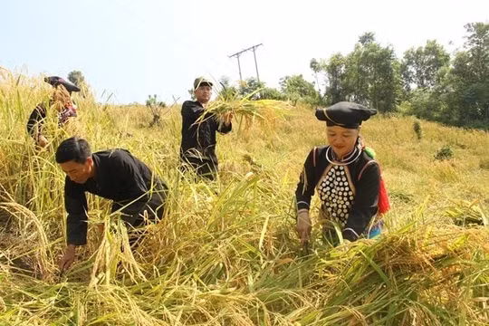 Kiến nghị tạo điều kiện sớm bố trí nguồn vốn chương trình cho vay giải quyết việc làm