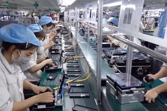 Doanh nghiệp TP.HCM cần hơn 14.000 lao động