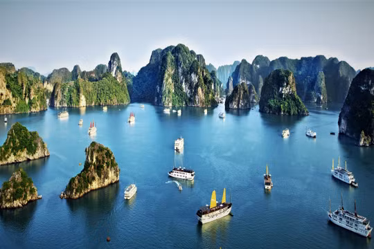 Quảng Ninh miễn vé tham quan vịnh Hạ Long cho người khuyết tật
