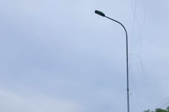 Tạm giữ tài xế vượt khung nồng độ cồn, chở quá tải gần 100%