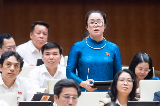 Nhiều tài sản công đang bị bỏ không, gây lãng phí