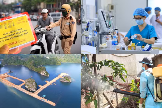 Nóng 18h: Chủ tịch UBND tỉnh Quảng Ninh chỉ đạo khẩn trương kiểm tra dự án tại khu 10B, Quang Hanh, Cẩm Phả