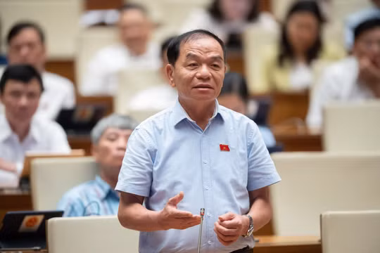 Đại biểu Quốc hội Lê Thanh Vân: Cán bộ “không hành động, không làm gì cả” cũng là vi phạm pháp luật