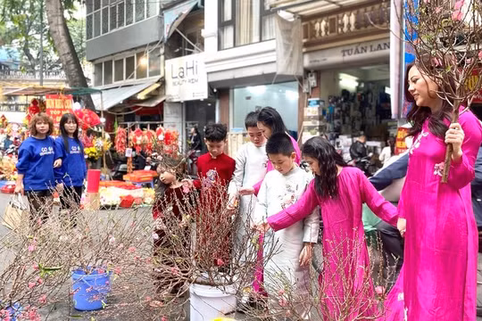 Chợ hoa Hàng Lược nhộn nhịp những ngày cận Tết