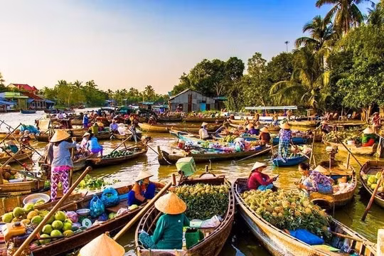 Cần Thơ sẵn sàng cho Ngày hội du lịch sinh thái Phong Điền 2023