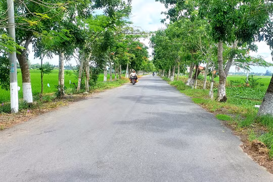 Huyện Vĩnh Lợi, tỉnh Bạc Liêu: Hướng đến xây dựng huyện Nông thôn mới nâng cao