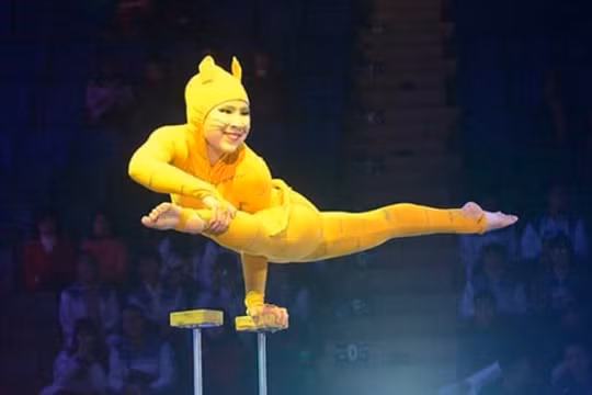Diễn viên điện ảnh, xiếc... thuộc ngành học 'nặng nhọc, độc hại, nguy hiểm'