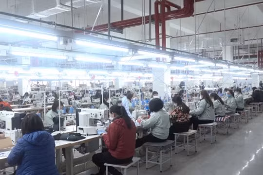 Thành phố Cẩm Phả: Ba công trình gắn biển chào mừng 60 năm ngày thành lập tỉnh Quảng Ninh