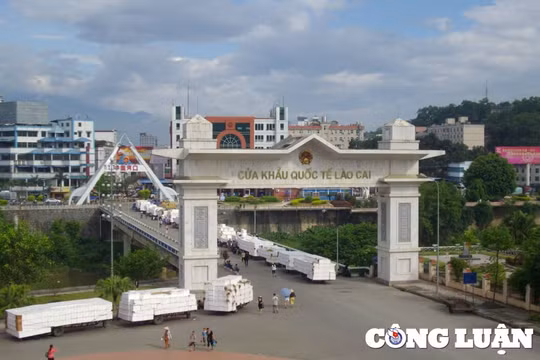 Lào Cai: Công khai danh tính 40 doanh nghiệp nợ thuế, nợ phạt hơn 550 tỷ đồng