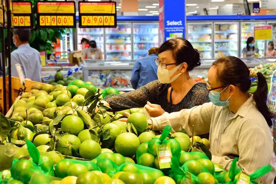 Xây dựng lộ trình điều chỉnh giá đồng bộ gắn với thời điểm phù hợp, tránh dồn vào tháng cuối năm