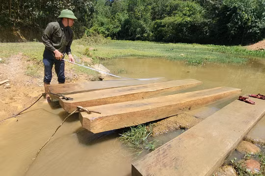 Thanh Hóa: Phát hiện nhiều tấm gỗ đóng thành bè trên suối