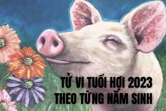 Tử vi 2023 tuổi Hợi theo từng năm sinh
