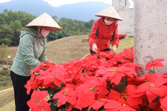 Nhiều hoạt động hấp dẫn tại Lễ hội xuân Tây Yên Tử năm 2023