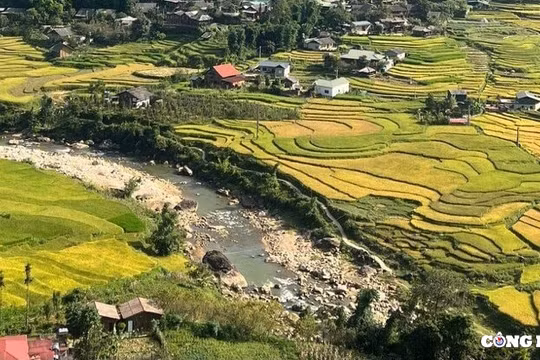 Tháng 10 về, bạn có hẹn với “mùa vàng” Sapa