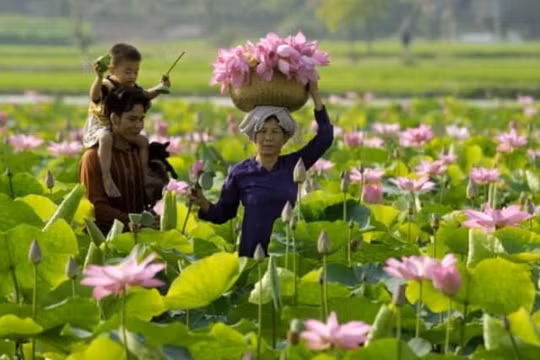 Long An nỗ lực khơi dậy tiềm năng du lịch nông thôn