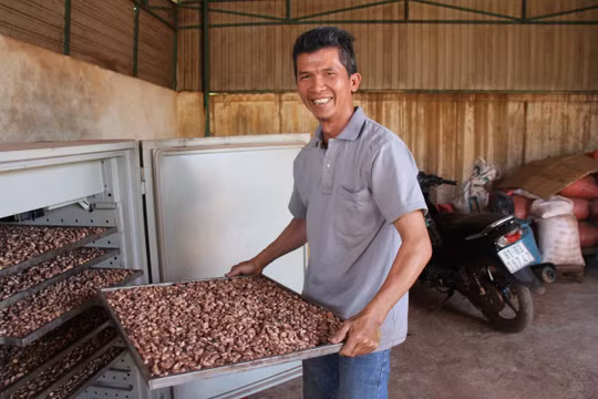 Chế biến thành phẩm hạt điều rang củi và trồng măng bát độ, lão nông thu về gần 1 tỷ đồng/năm