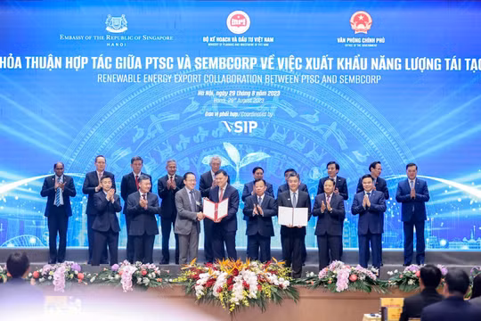 Petrovietnam và sứ mệnh tiên phong phát triển năng lượng tái tạo ngoài khơi