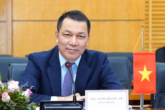 Điều động Thứ trưởng Bộ Công Thương làm Chủ tịch HĐTV EVN
